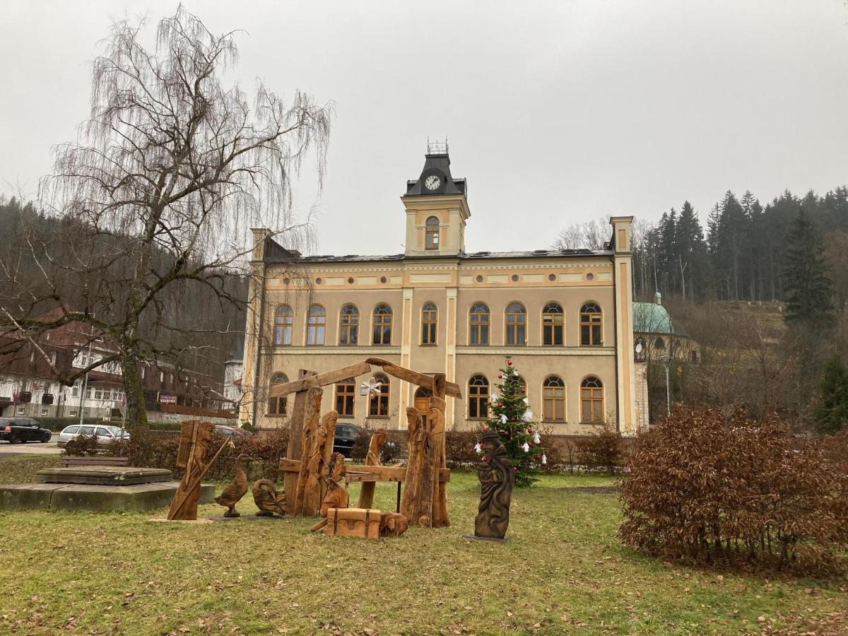 Ferienwohnung Apartman Hopi Hopi Svoboda nad Úpou Exterior foto