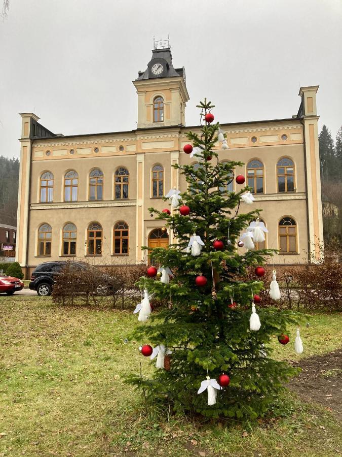 Ferienwohnung Apartman Hopi Hopi Svoboda nad Úpou Exterior foto