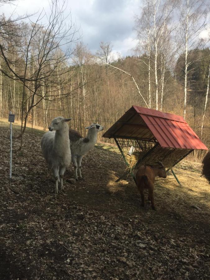 Ferienwohnung Apartman Hopi Hopi Svoboda nad Úpou Exterior foto