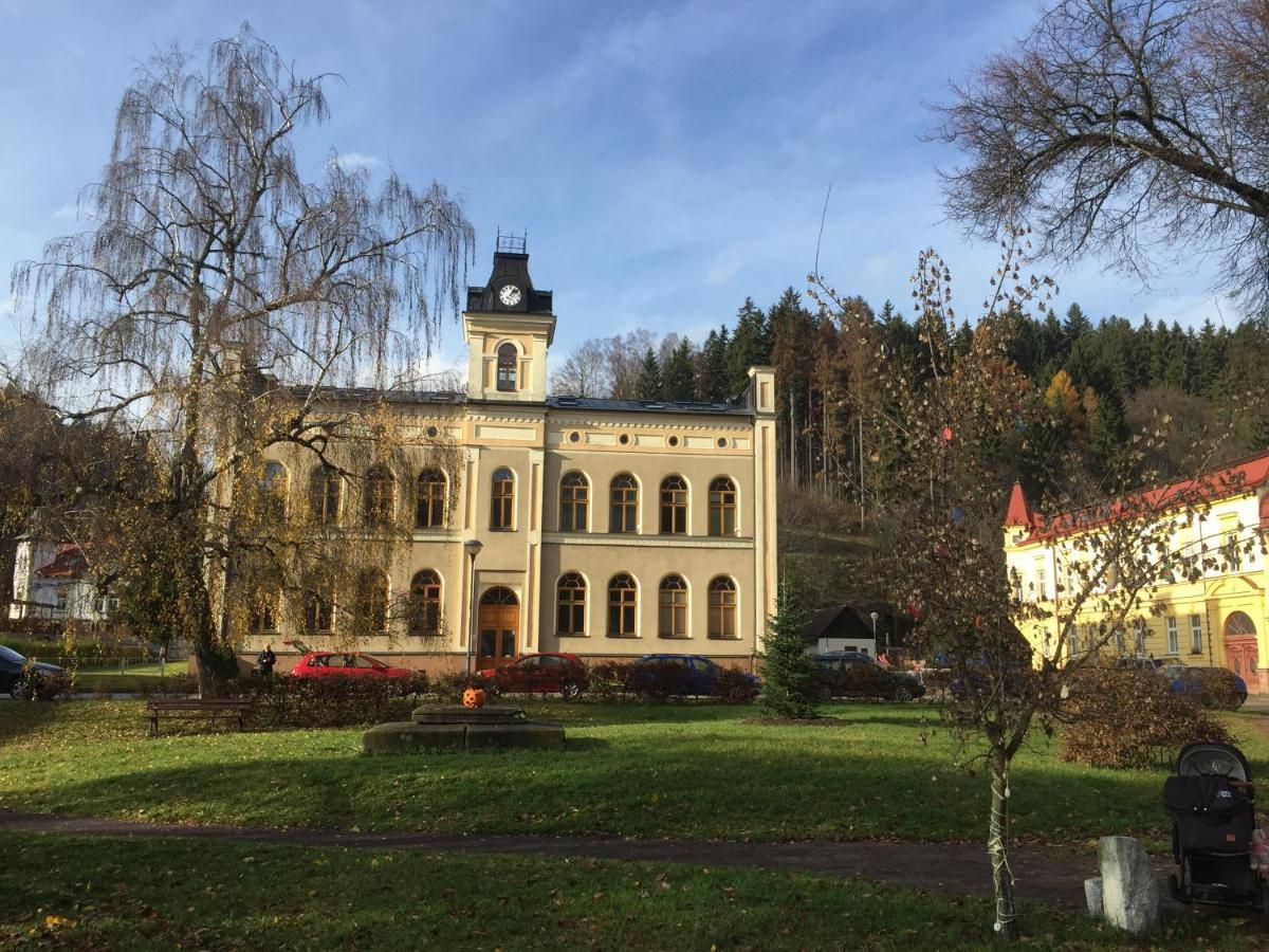 Ferienwohnung Apartman Hopi Hopi Svoboda nad Úpou Exterior foto