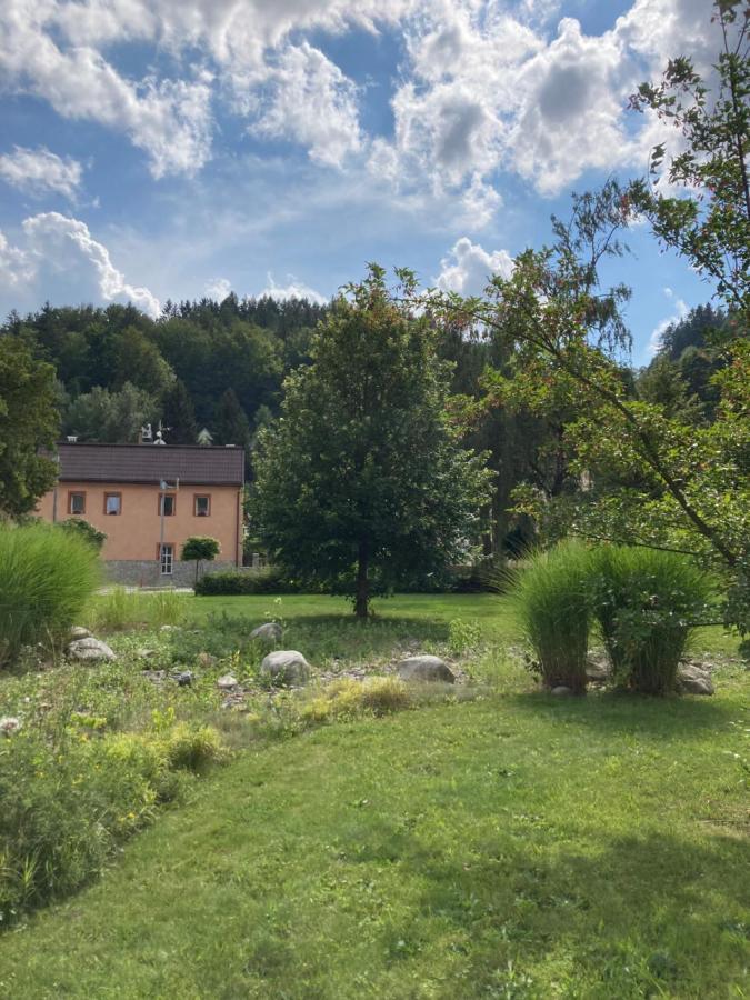 Ferienwohnung Apartman Hopi Hopi Svoboda nad Úpou Exterior foto